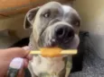 Fiona