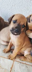 Bruce