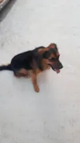 Jack