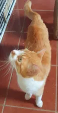 Mimi