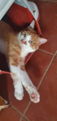 Mimi