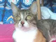 TYNNA