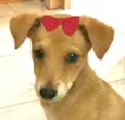 Teka