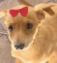 Teka