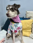 Charlote