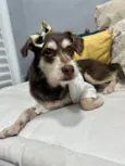Charlote