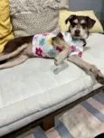 Charlote