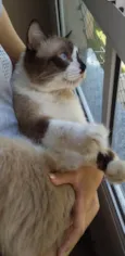 Théo