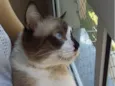 Théo