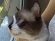 Théo