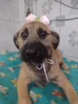 Paçoca