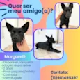 Margareth