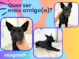 Margareth