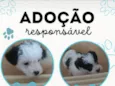 Sem nome 