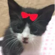 Tina 
