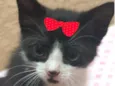 Tina 