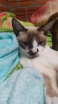 Miti