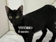 VITÓRIO