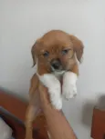 lunna