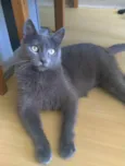 Gary