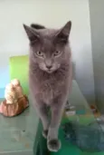 Gary