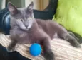 Gary