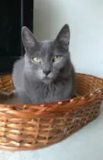 Gary