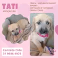 Tati