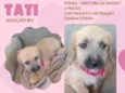 Tati