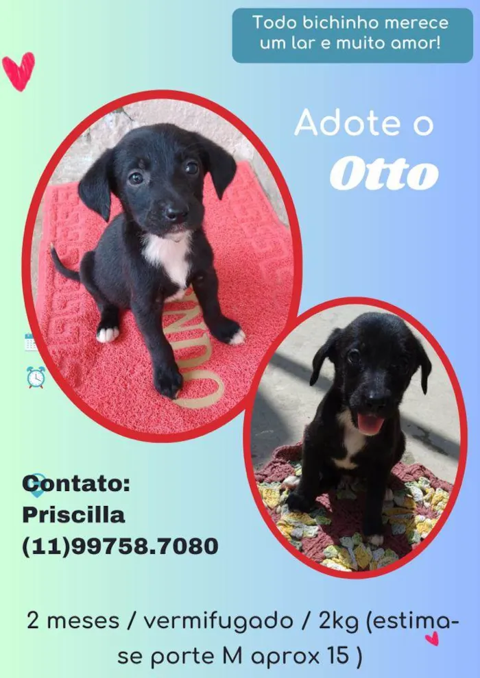 Otto