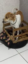 Milly e lolla