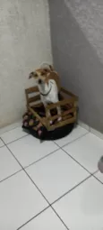 Milly e lolla