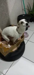 Milly e lolla