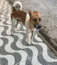 Não sei