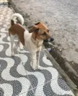 Não sei