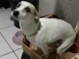 Milly e lolla
