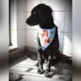 Felipe