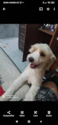Bob