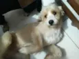 Bob