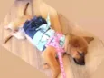 Princesa