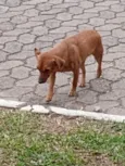 Sem nome 