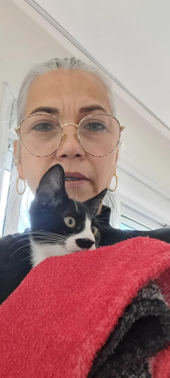 Gato raça SRD-ViraLata idade 2 a 6 meses nome Gaia