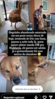 nao tem