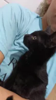 Lua 