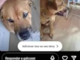 nao tem