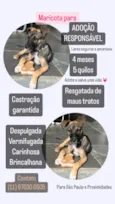 Maricota