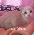 LUAH