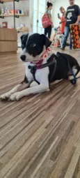 TERESA