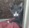 LELÉCO