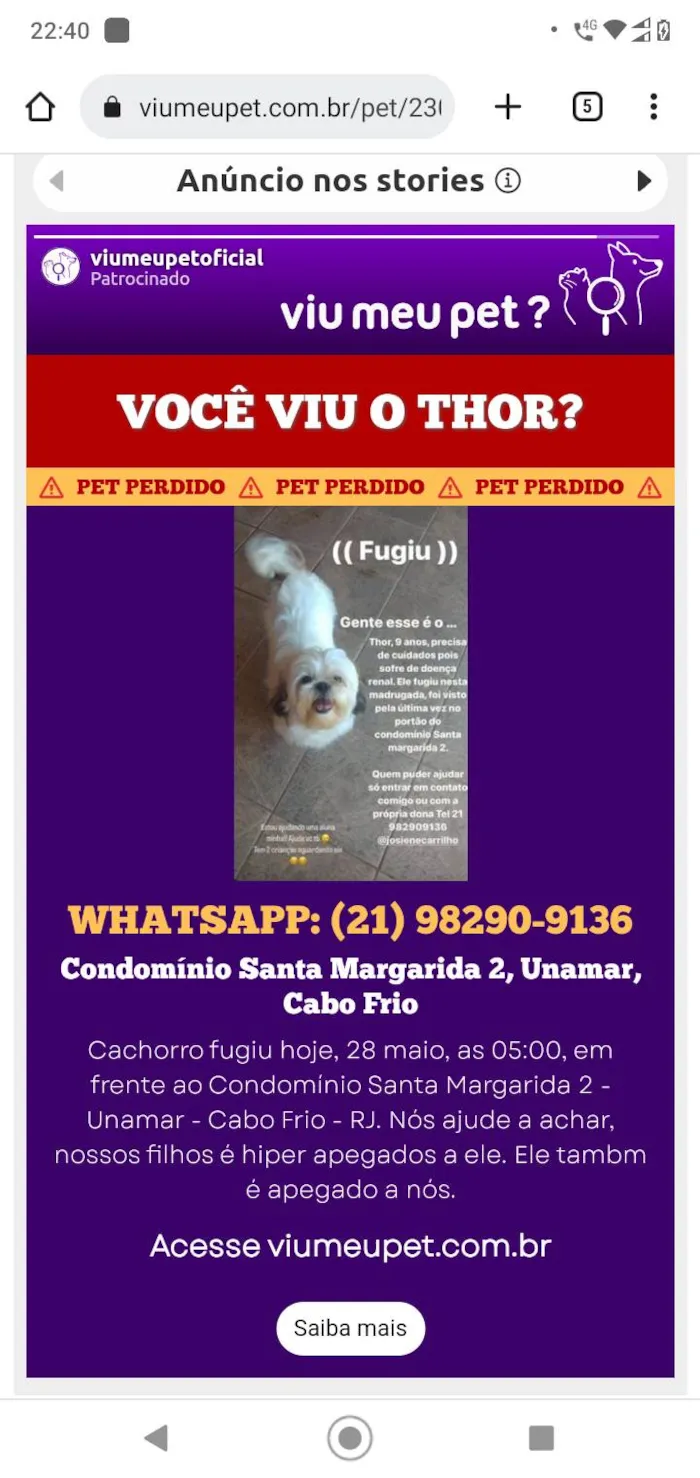 Cachorro ra a Shtzu  idade 6 ou mais anos nome Thor